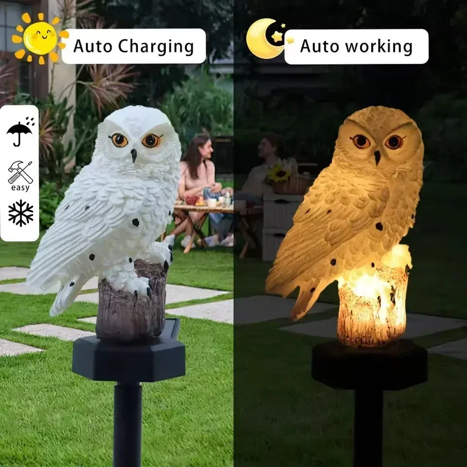 🦉 Light up your garden path today with these solar-powered owl path lights!