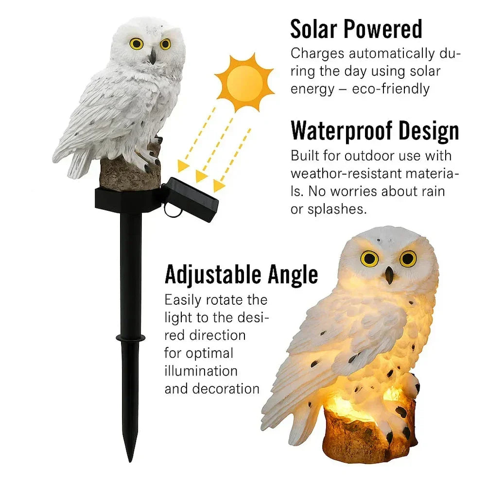 🦉 Light up your garden path today with these solar-powered owl path lights!