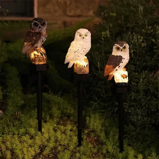 🦉 Light up your garden path today with these solar-powered owl path lights!