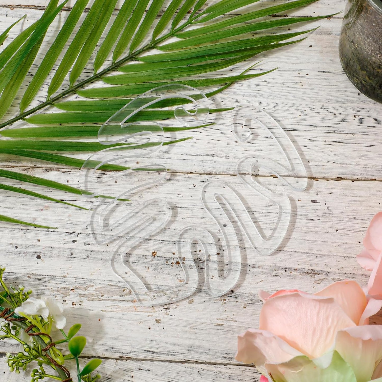 Transparent acrylic plant stake in the shape of a Monstera leaf | Invisible stem support for indoor potted plants 🌿
